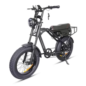 T3Pro 48V Fast High Power 750W Electric Bike Fat Tyre Off Road Max Speed 45km Mileage 60km 18.2ah Electric Bicycle