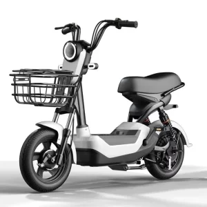 Hot Selling Adult Electric Bike with Rear Hub 350W Motor 48V Voltage Two Seats Scooters to Meet Different Riding Needs
