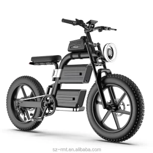 High-end Electric Bike Exporter 1500w Fat Tire 20inch Bicycle Steel and Aluminum Alloy Frame