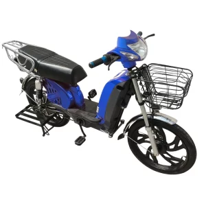 22 inch Electric Bicycle City Bike Mountain Bike Carry Bike E Bike электровелосипед