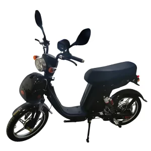 OEM 18 Inch Household Electric Bike Cargo Ebike 800W Lithium Battery Electric Bicycle Excursion E-bike