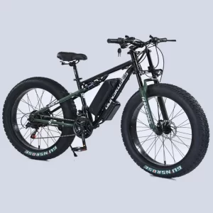 Adult Ebike 19 Light Electric Mountain Bike Electric Bike 6000w 40ah Road Legal Dirt with Pedals